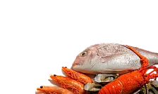 Рыба и морепродукты